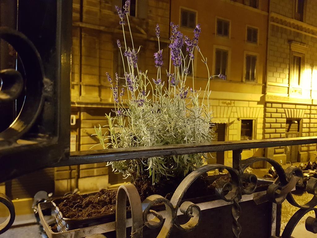 فيلا Loft Pantheon روما المظهر الخارجي الصورة